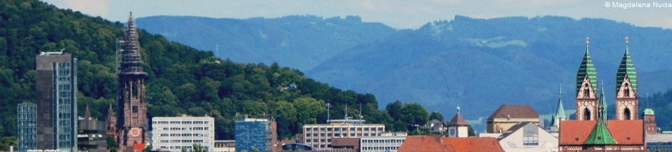 Übersetzungsbüro Deutsch-Polnisch, Polnisch-Deutsch Freiburg_Baden-Württemberg Übersetzungsbüro Deutsch-Polnisch, Polnisch-Deutsch Freiburg_Baden-Wuerttemberg